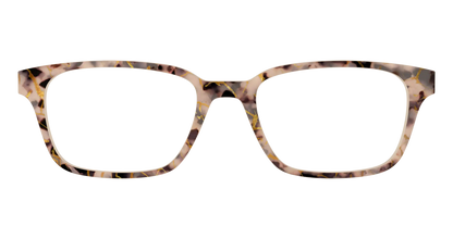The Almond Tortoise with Gold Streaks