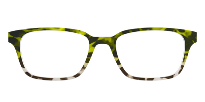 The Avocado to Ivory Tortoise