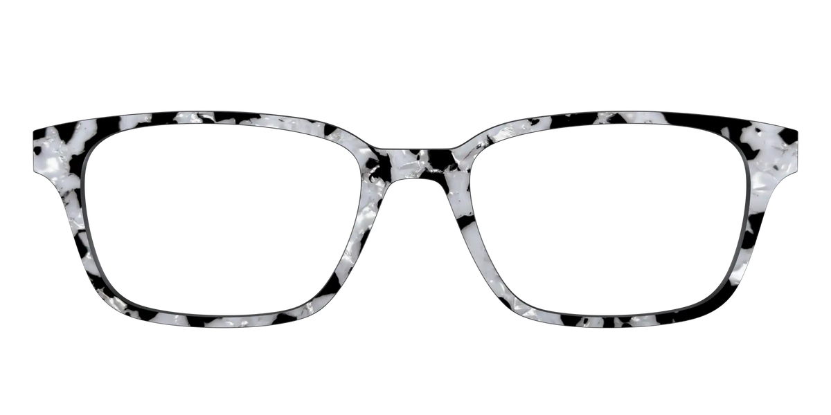 The Black & White Pearl Tortoise