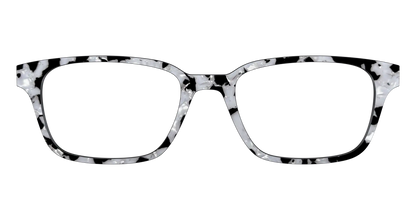 The Black & White Pearl Tortoise