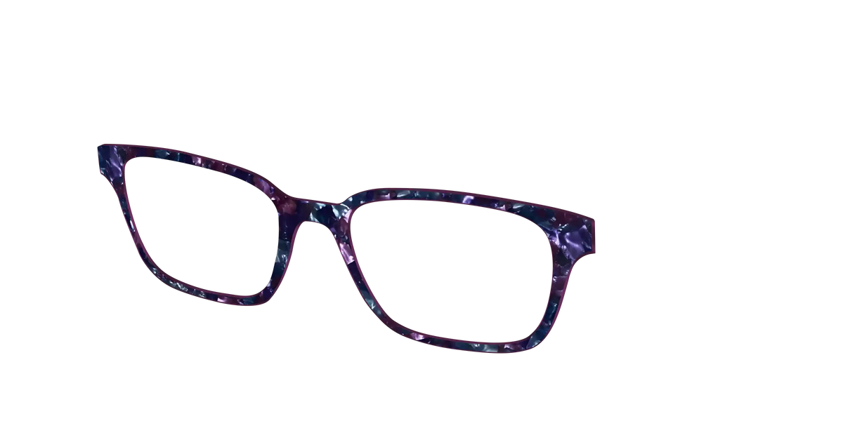The Black Opal Pearl Tortoise