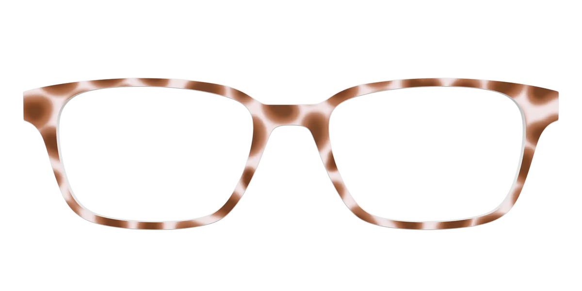 The Caffé Tortoise