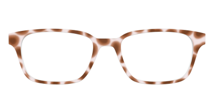 The Caffé Tortoise