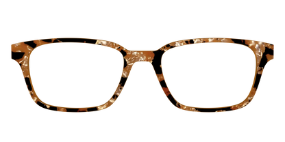 The Caramel Pearl Tortoise