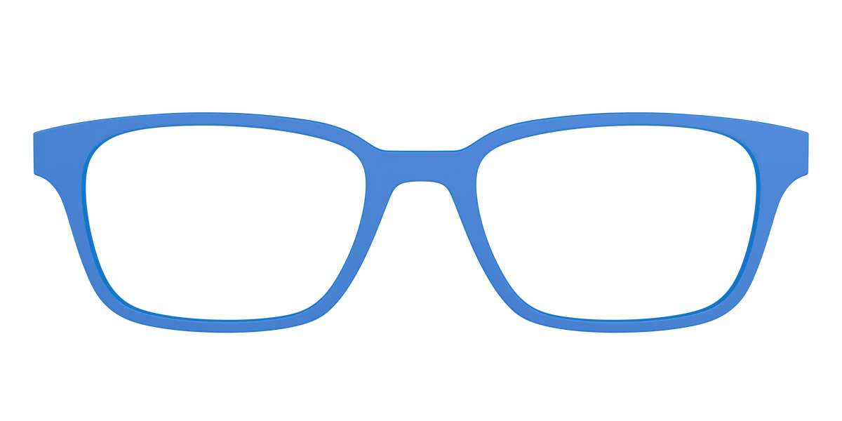 The Cornflower Blue