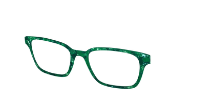 The Emerald Pearl Tortoise