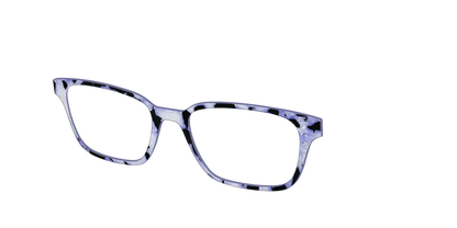 The Lilac Pearl Tortoise
