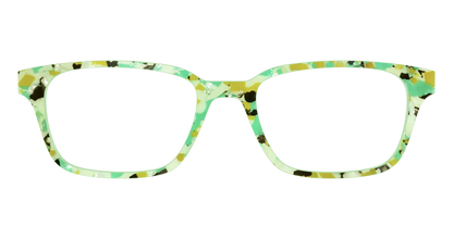 The Matcha Pearl Tortoise