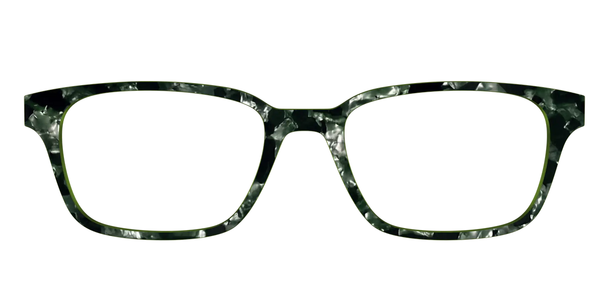 The Olive Pearl Tortoise