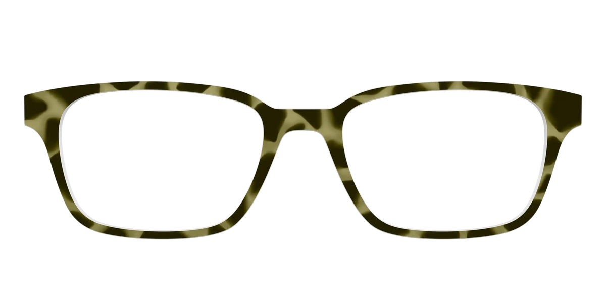 The Olive Tortoise
