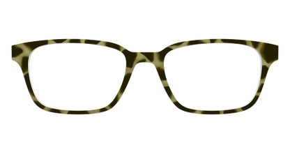 The Olive Tortoise