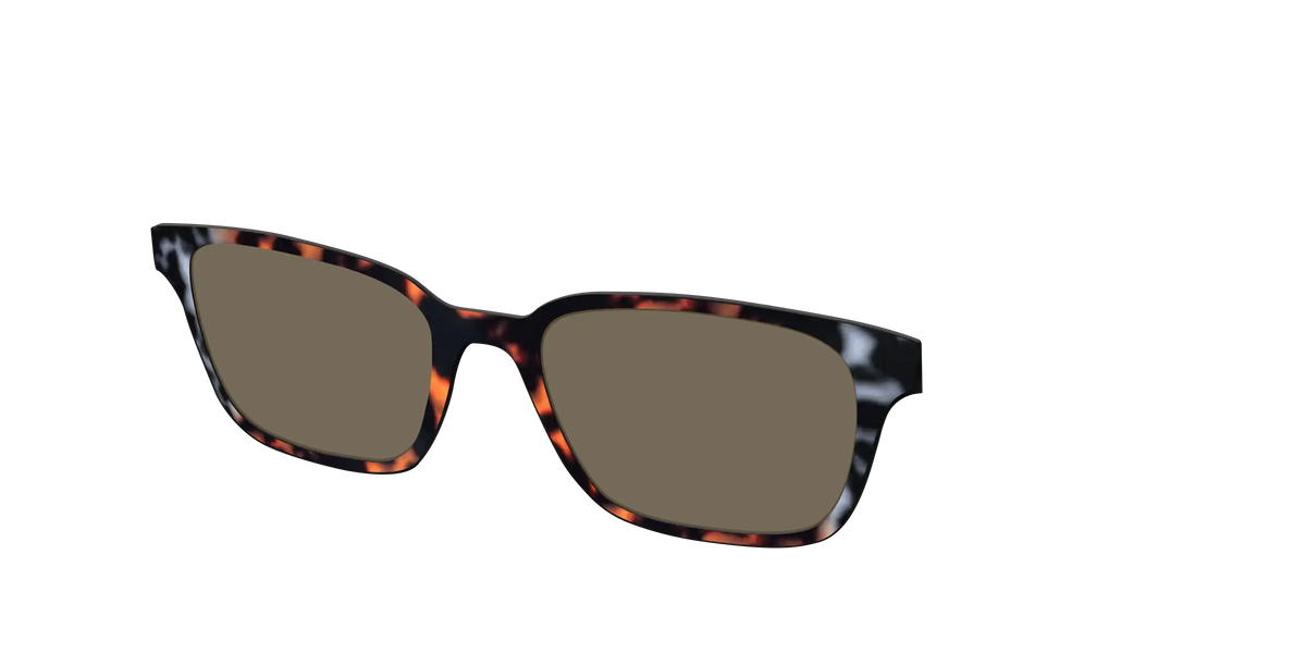 The Polarized Gray & Amber Tortoise Sun Top
