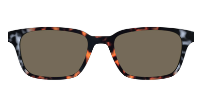 The Polarized Gray & Amber Tortoise Sun Top