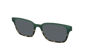 The Polarized Spruce Tortoise Sun Top