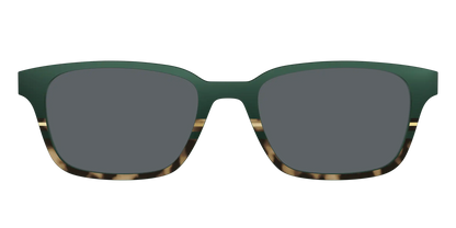 The Polarized Spruce Tortoise Sun Top