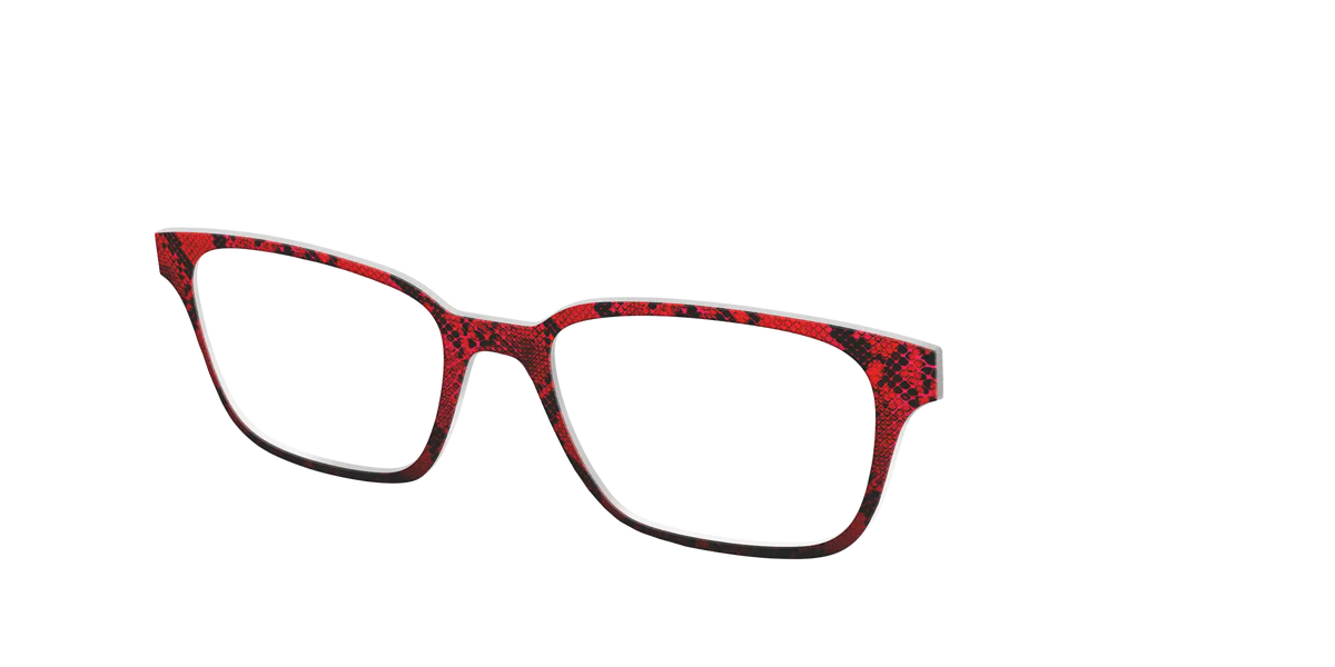 The Statement Snakeskin