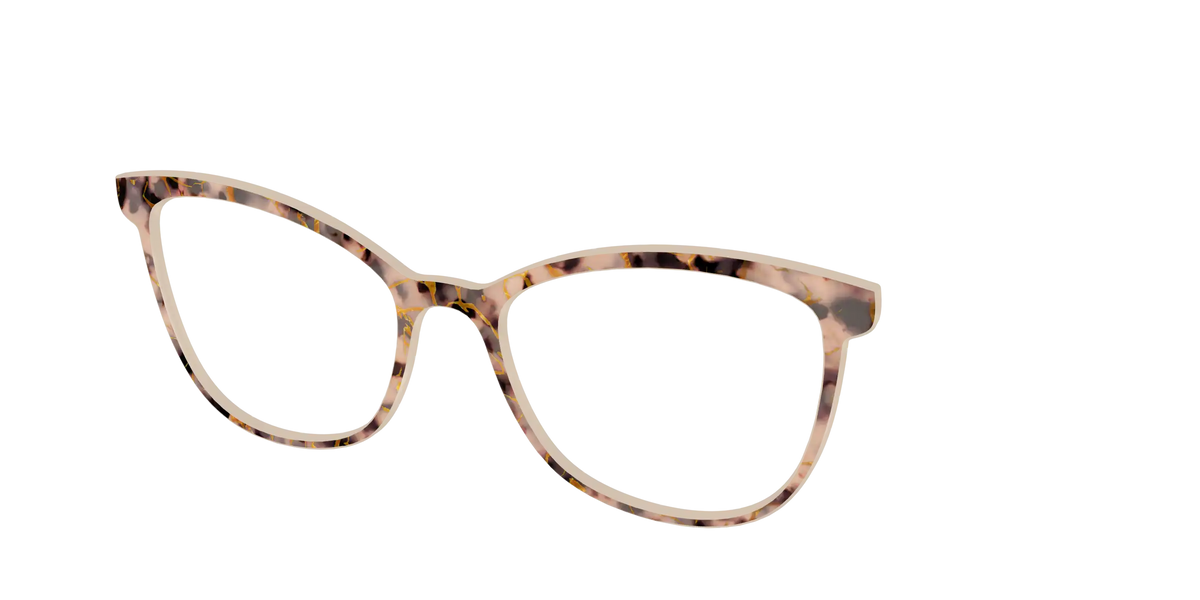 The Almond Tortoise with Gold Streaks