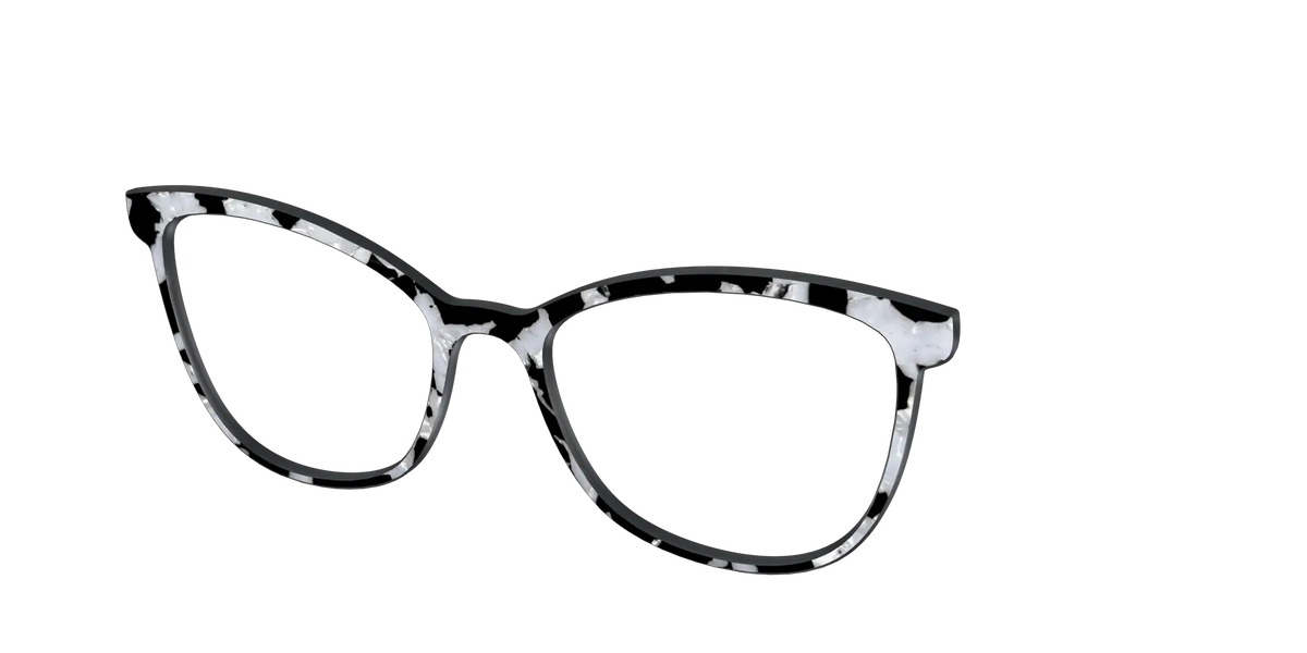 The Black & White Pearl Tortoise