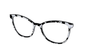 The Black & White Pearl Tortoise