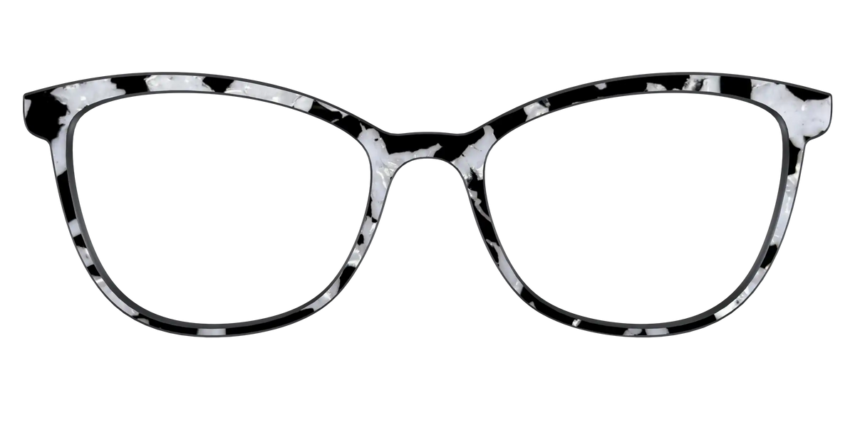 The Black & White Pearl Tortoise