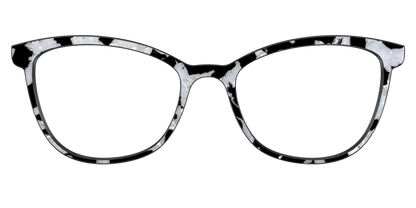 The Black & White Pearl Tortoise