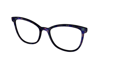 The Black Holographic Check