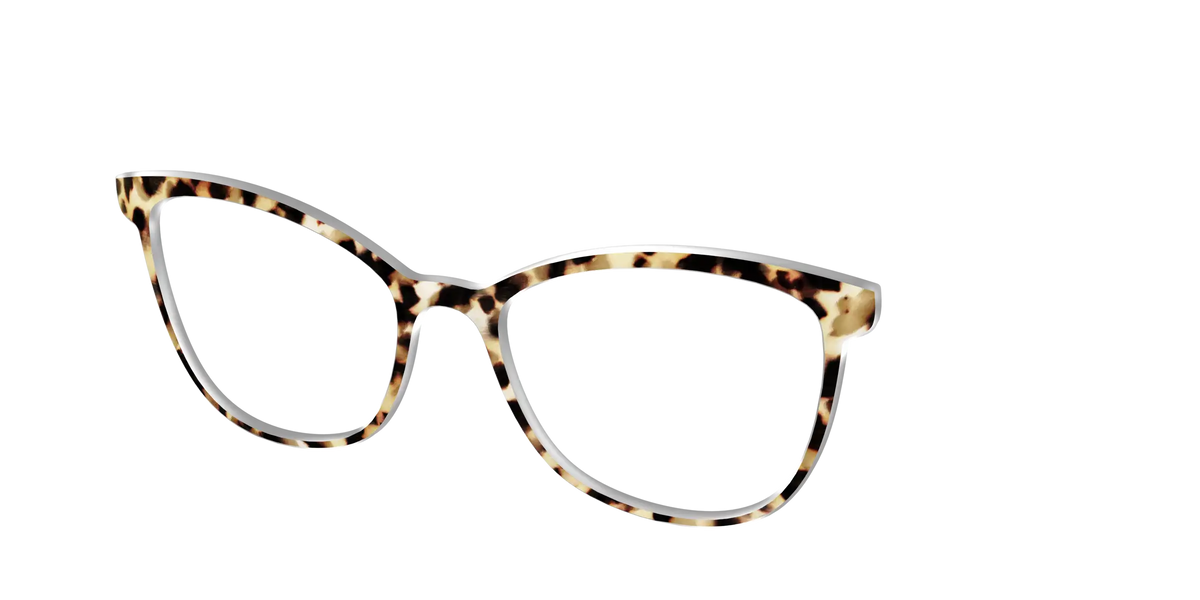 The Brown Sugar Tortoise