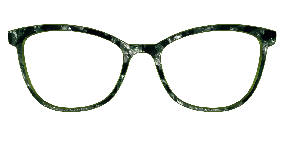 The Olive Pearl Tortoise