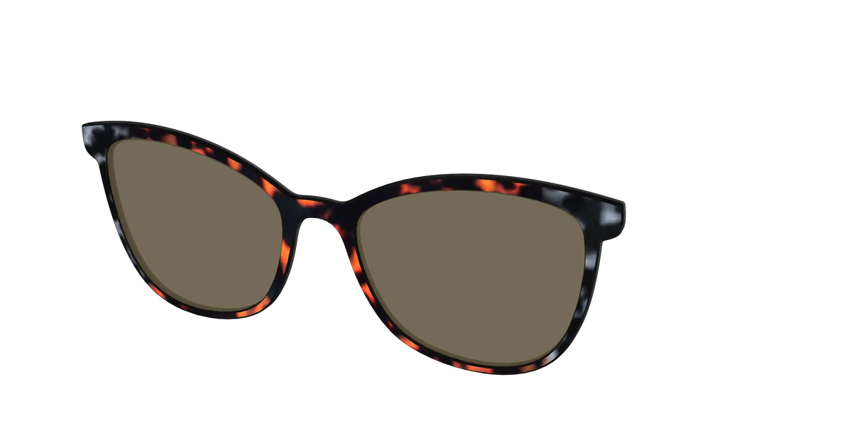 The Polarized Gray & Amber Tortoise Sun Top