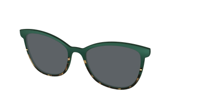 The Polarized Spruce Tortoise Sun Top