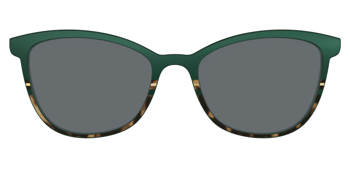The Polarized Spruce Tortoise Sun Top