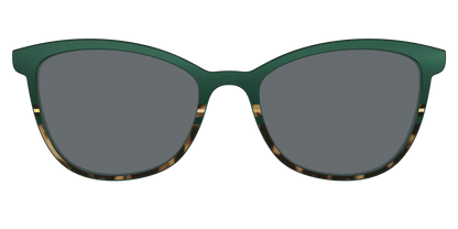 The Polarized Spruce Tortoise Sun Top