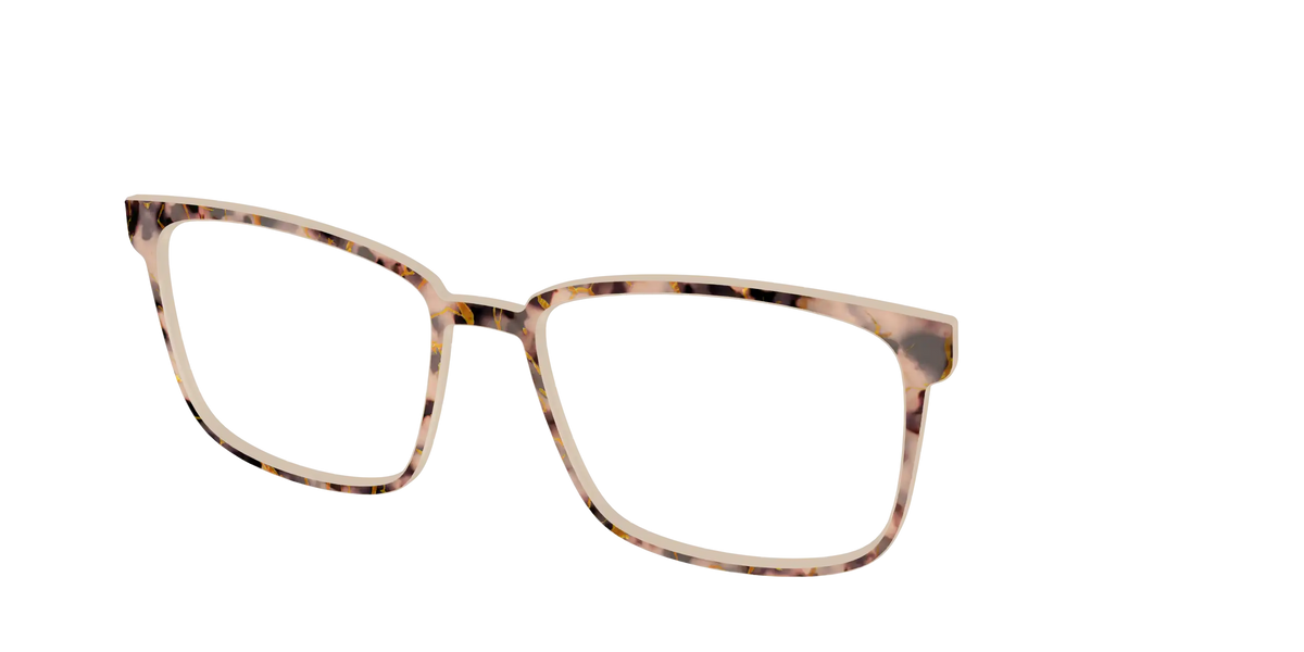 The Almond Tortoise with Gold Streaks