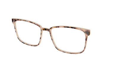 The Almond Tortoise with Gold Streaks