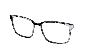 The Black & White Pearl Tortoise