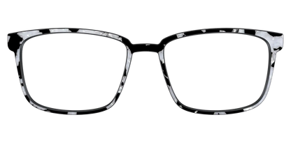 The Black & White Pearl Tortoise