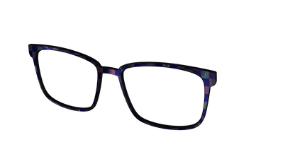 The Black Holographic Check