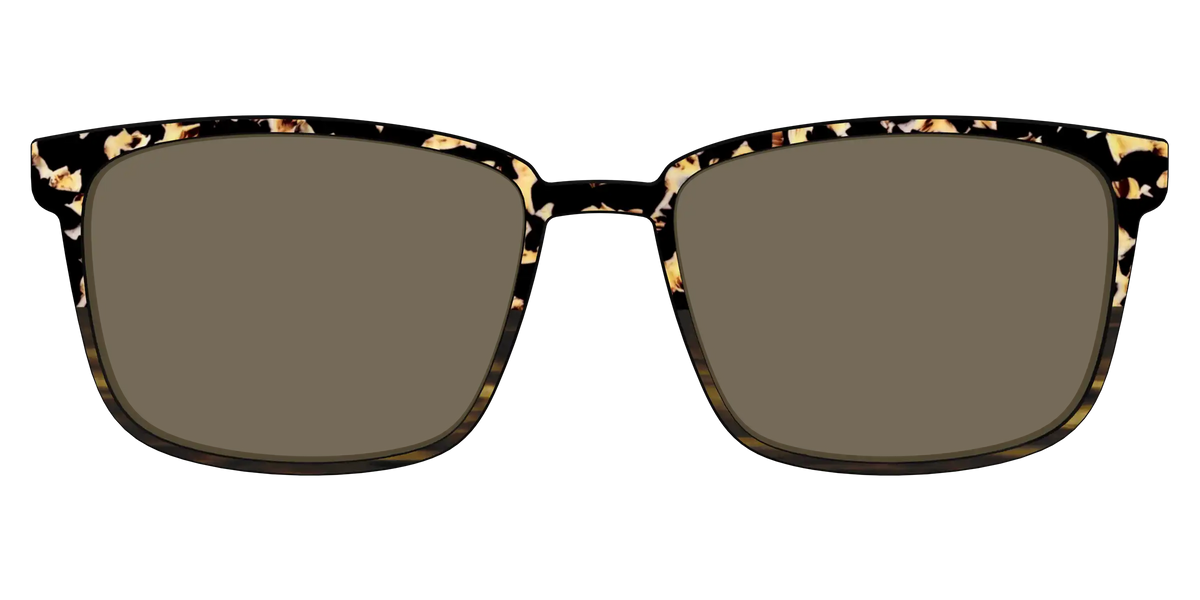 The Polarized Caramel Tortoise Horn Split Sun Top