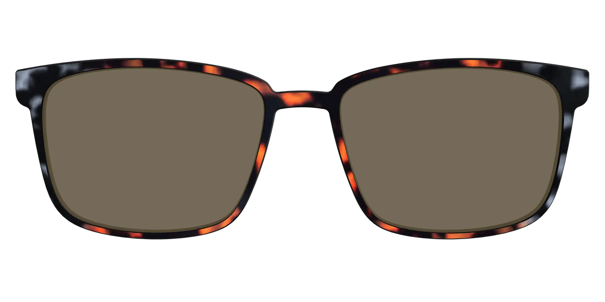The Polarized Gray & Amber Tortoise Sun Top