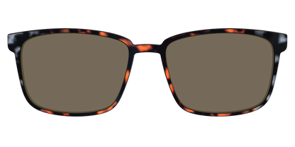 The Polarized Gray & Amber Tortoise Sun Top
