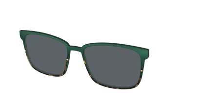The Polarized Spruce Tortoise Sun Top