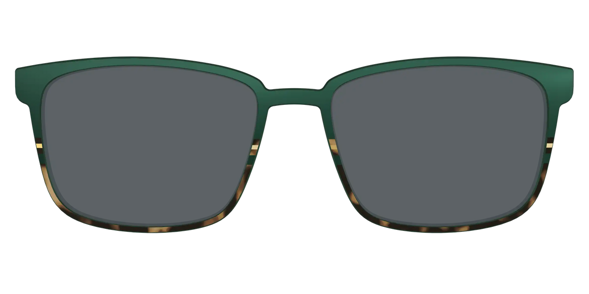 The Polarized Spruce Tortoise Sun Top