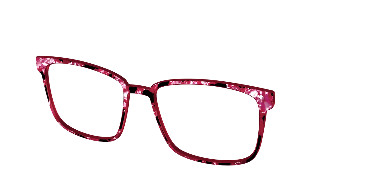 The Raspberry Pearl Tortoise