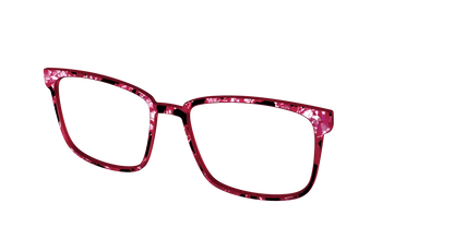 The Raspberry Pearl Tortoise