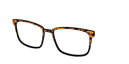 The Rustic Gold Leaf Tortoise