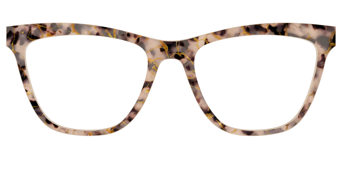 The Almond Tortoise with Gold Streaks