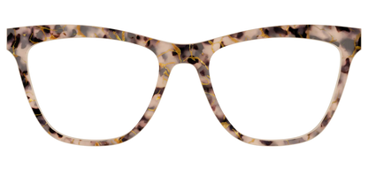 The Almond Tortoise with Gold Streaks