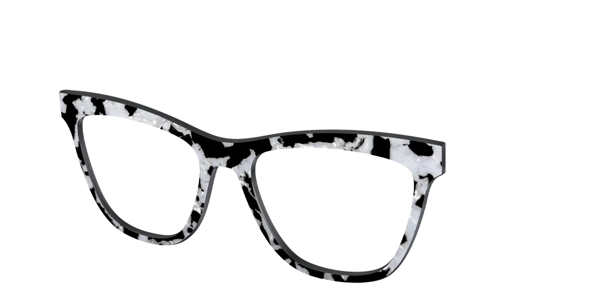 The Black & White Pearl Tortoise