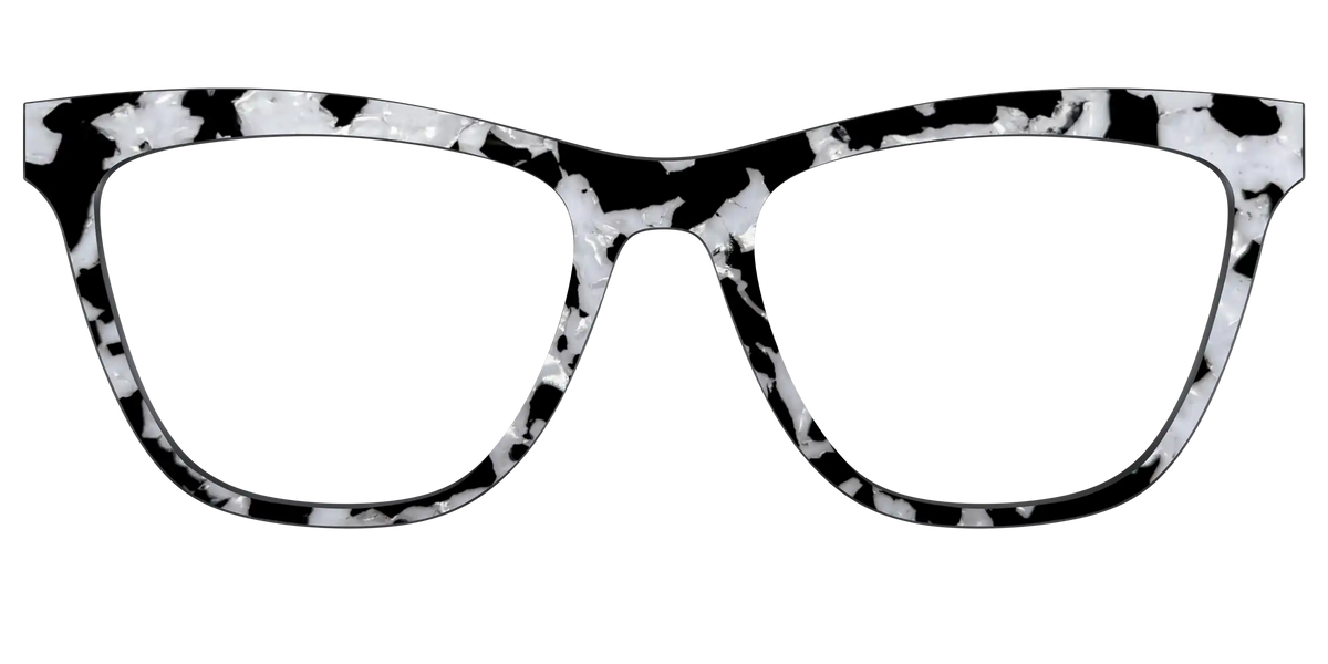 The Black & White Pearl Tortoise