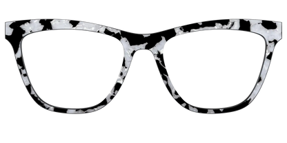 The Black & White Pearl Tortoise